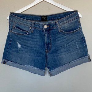 Just Black Jean Shorts